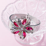 Paparazzi LOP JAN 26 Encased Elite