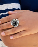 Paparazzi Glimpses of Malibu - Complete Trend Blend SEP 24