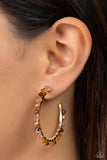 Paparazzi Halo Hustle - Brown Iridescent Hoops Earrings