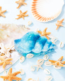 Paparazzi Smooth Seashell- Blue Hair Accessory