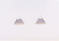 Paparazzi Starlet Shimmer - Earrings11 - Veronica's Jewelry Paradise, LLC