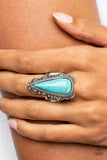 Paparazzi Canyon Collector - Blue