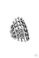 Paparazzi Fiercely Flashy - Silver - Veronica's Jewelry Paradise, LLC