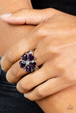 Paparazzi Minnesota Magic - Purple Ring