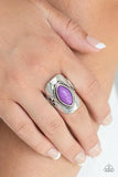 Paparazzi Plain Ride- Purple - Veronica's Jewelry Paradise, LLC