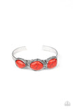 Paparazzi Stone Shop Crackle - Veronica's Jewelry Paradise, LLC